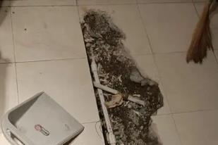 遂平卫生间漏水检测电话